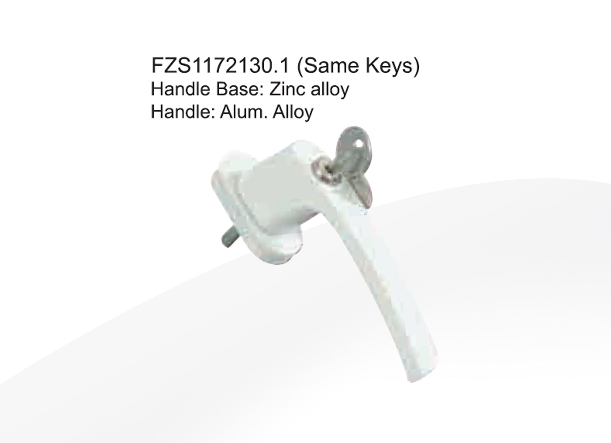 FZS1172130(Different Keys)